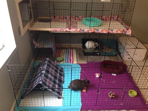 turn metal 2 story playpen into bunny house|6 Best 2.